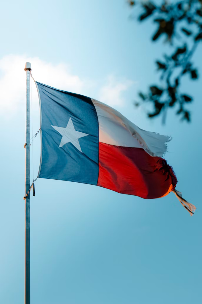 A tattered Texas state flag