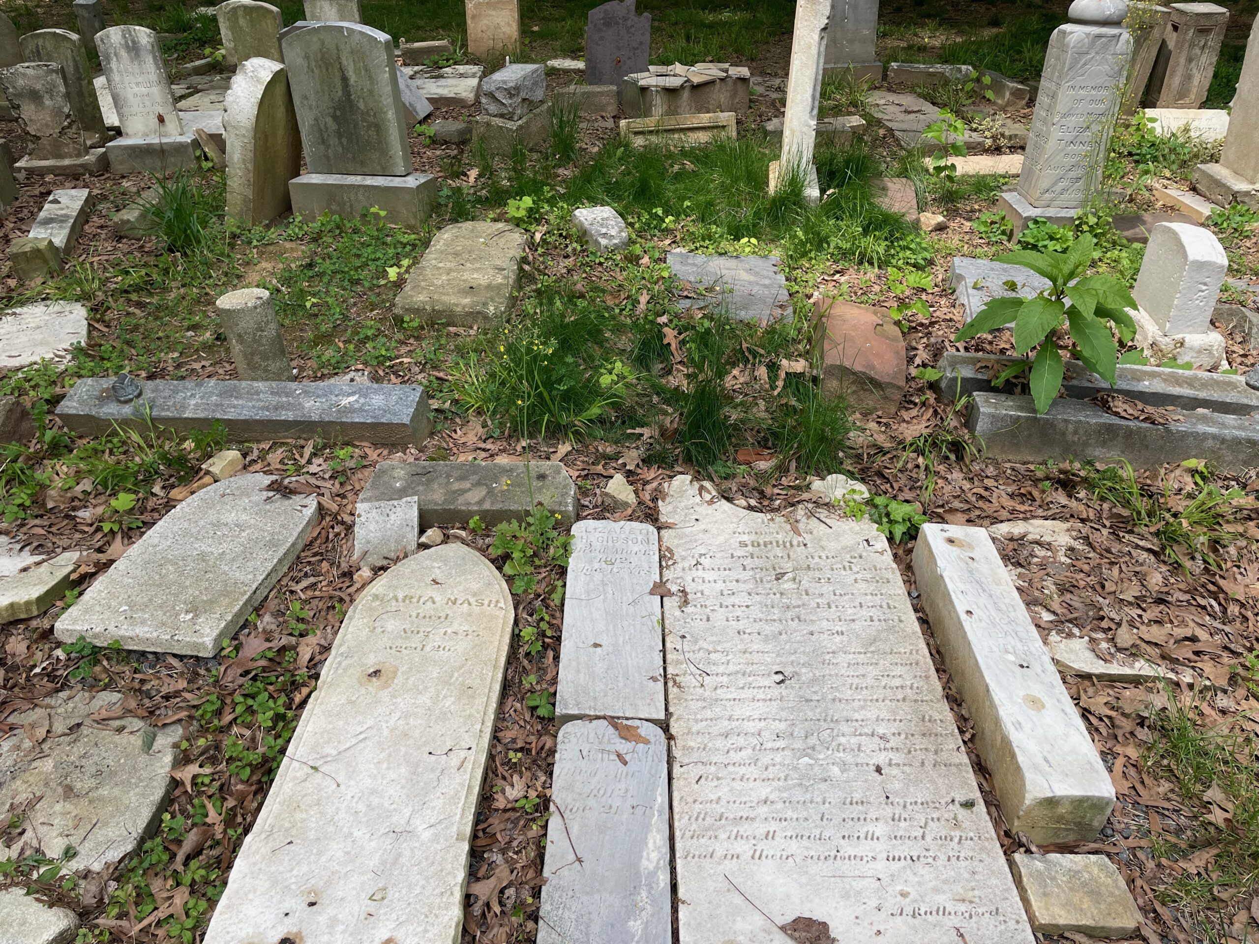 Visiting Babe Ruth's Father's Grave at Loudon Park Cemetery